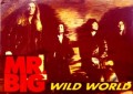 MR.BIG - Wild World
